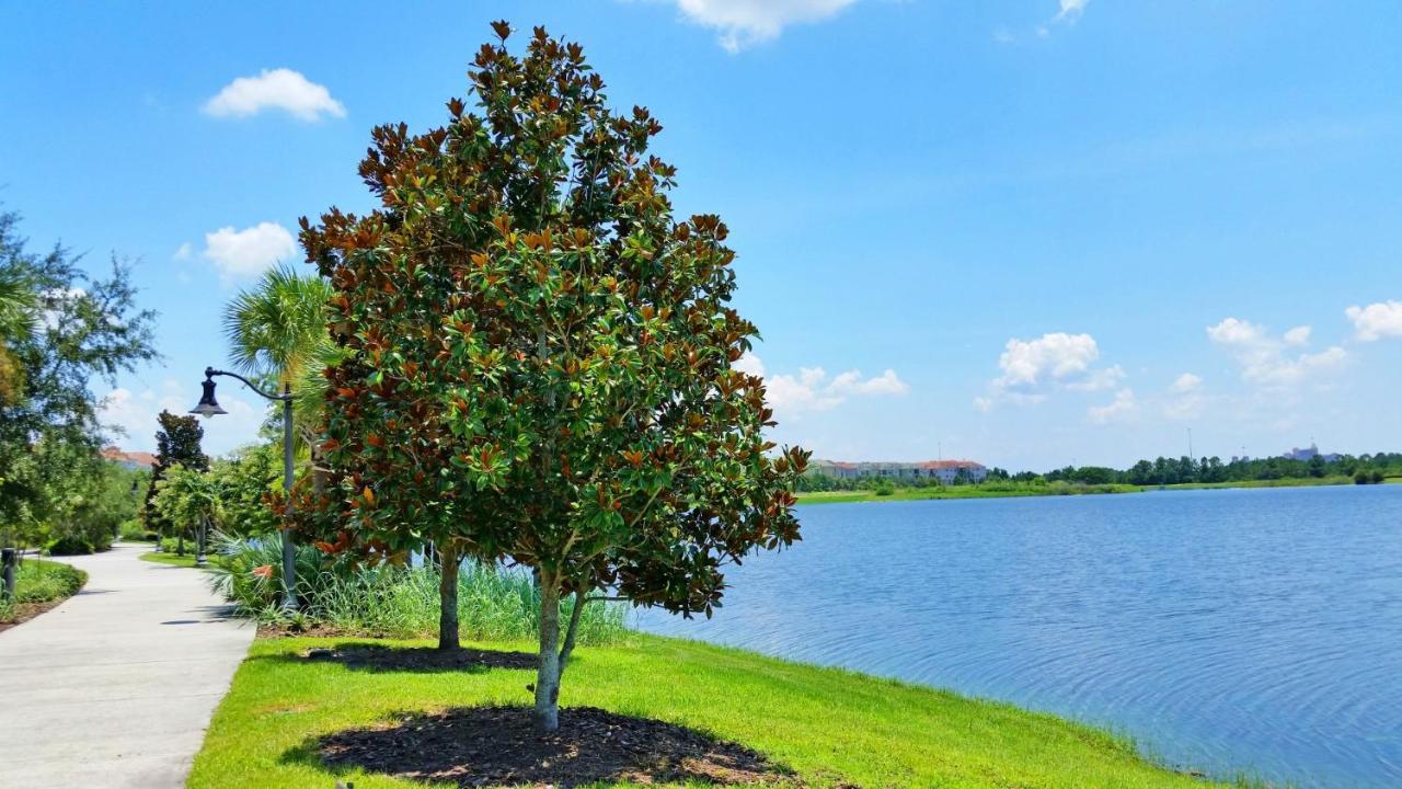 4814 Cayview Avenue #401 Lejlighed Orlando Eksteriør billede